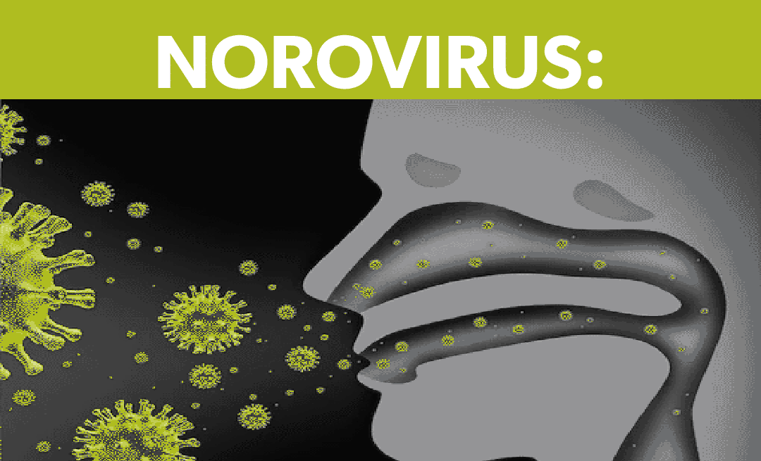 NOROVirus