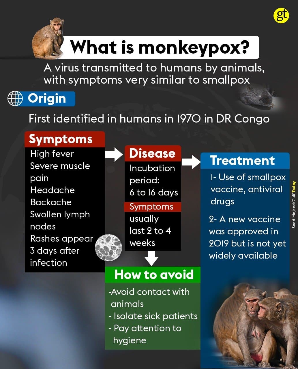 Monkeypox declared a global health emergency by WHO