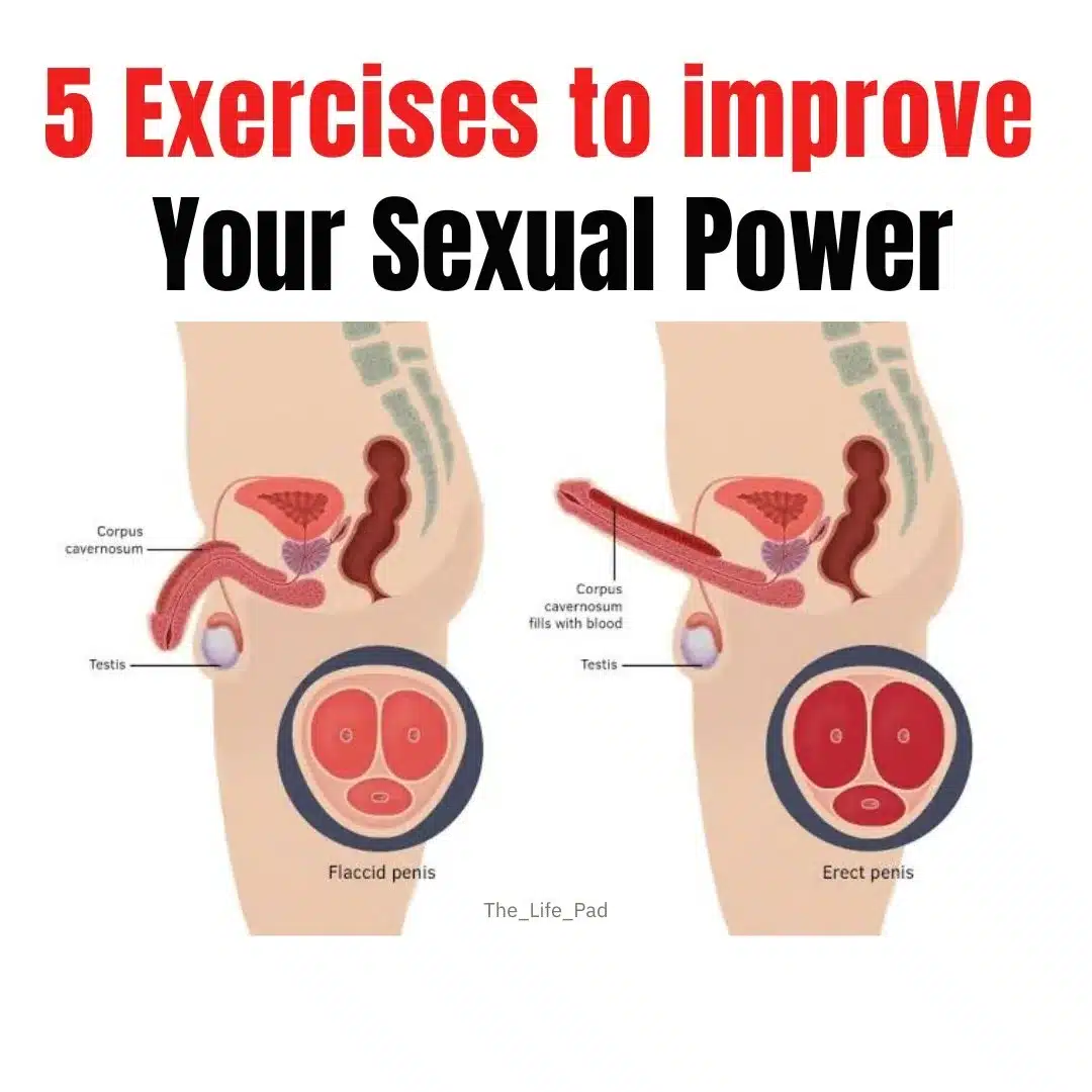 5 Best Exercises to improve your strength and stamina | All Men should do read this iiQ8